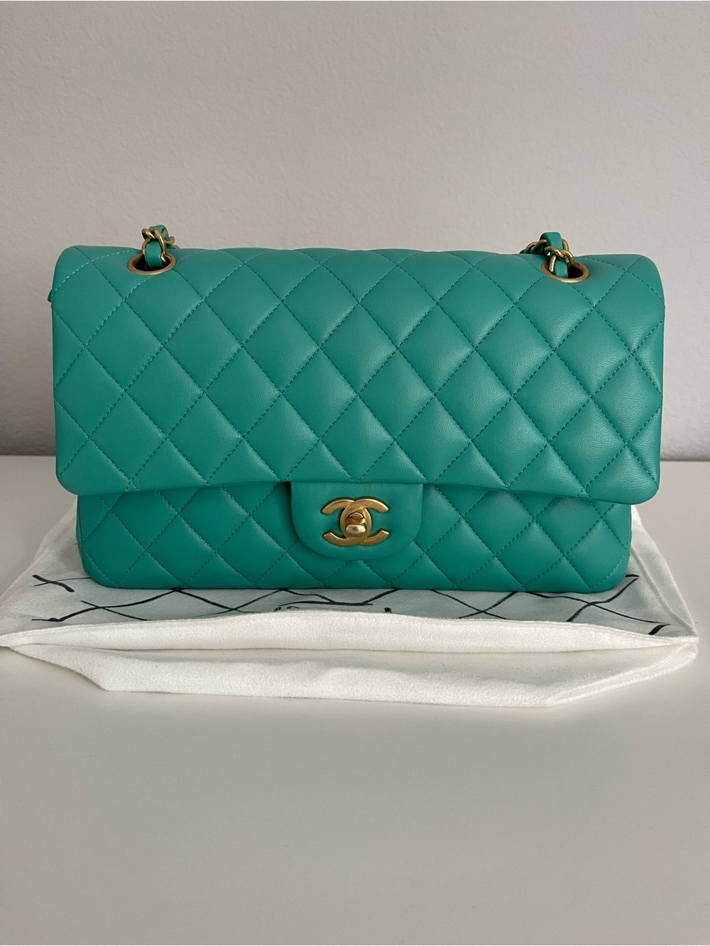 Chanel Double Flap Classic Bag